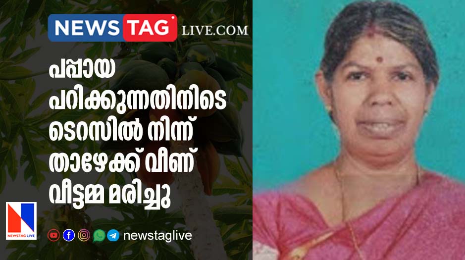 woman dies after fallen from terrace while plucking Pappaya