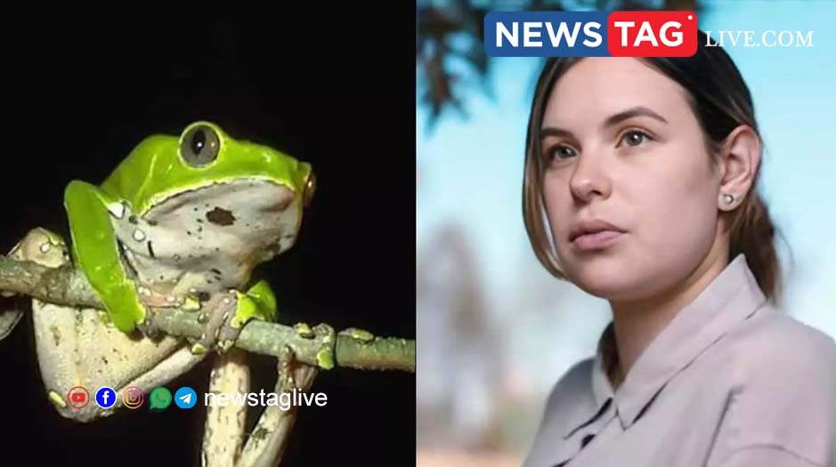 Mexican actress death frog poison