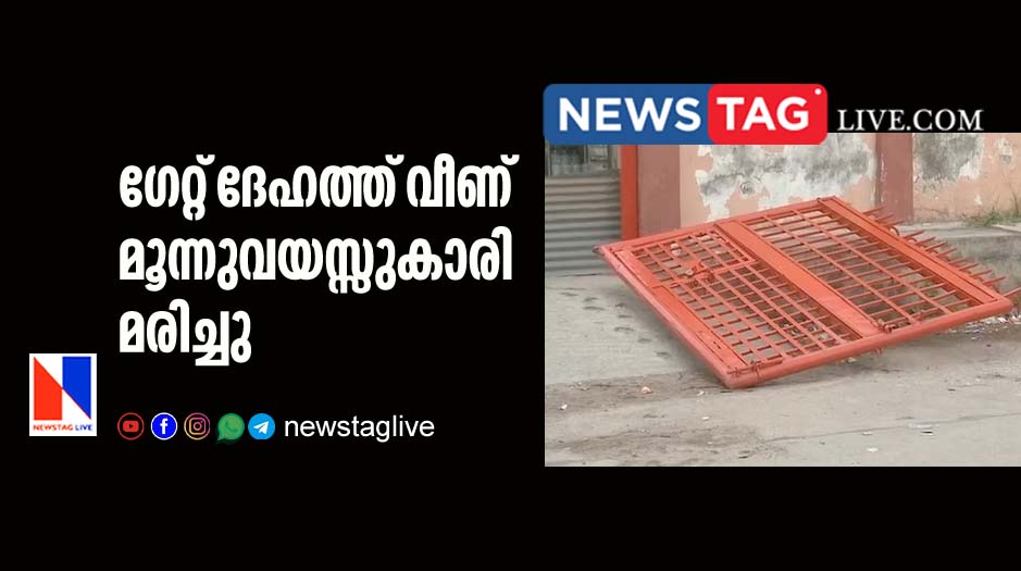 3 year old girl dies after iron gate fells on her