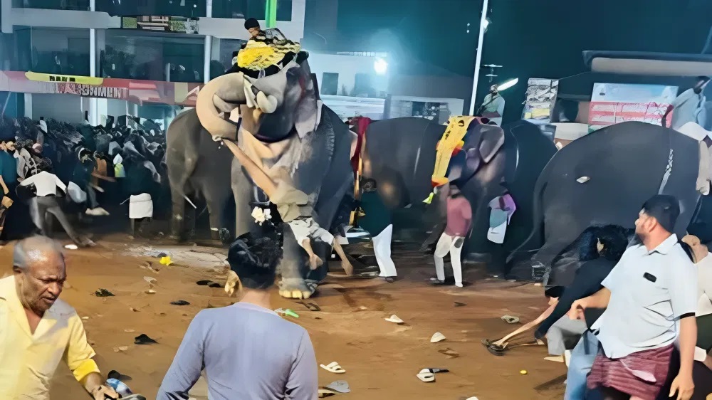Elephant rammed in to crowd in Tirur