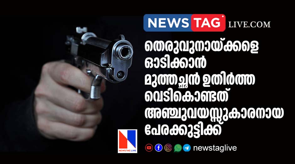 grandfather fires gun to drive street dogs accidentally hits 5 year old boy