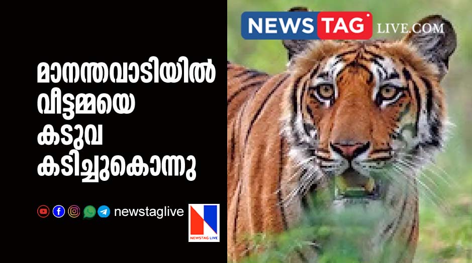 woman killed by tiger in Mananthavady