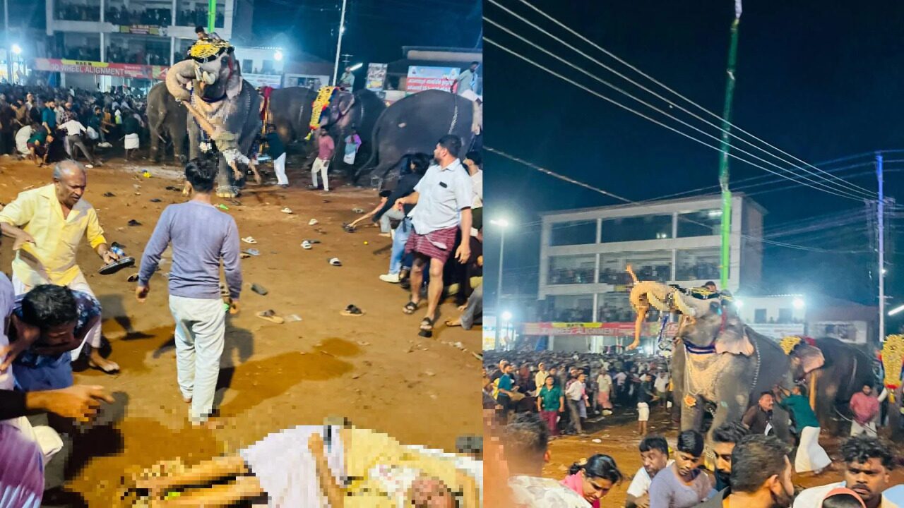 puthiyangadi nercha elephant attack