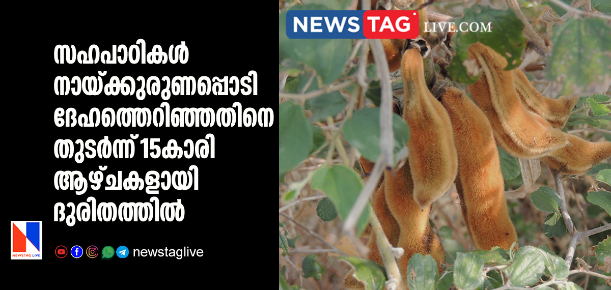 15 year old girl suffering side effects of Naykkurana powder thrown by classmates
