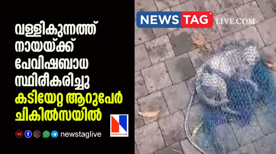 Alappuzha stray Dog confirmed rabies