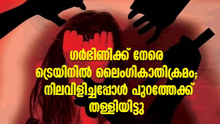 Pregnant woman sexually assaulted on train and pushed out
