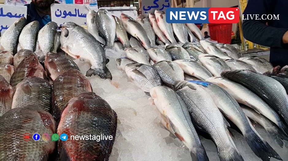 Online fish trading scam in Kuwait