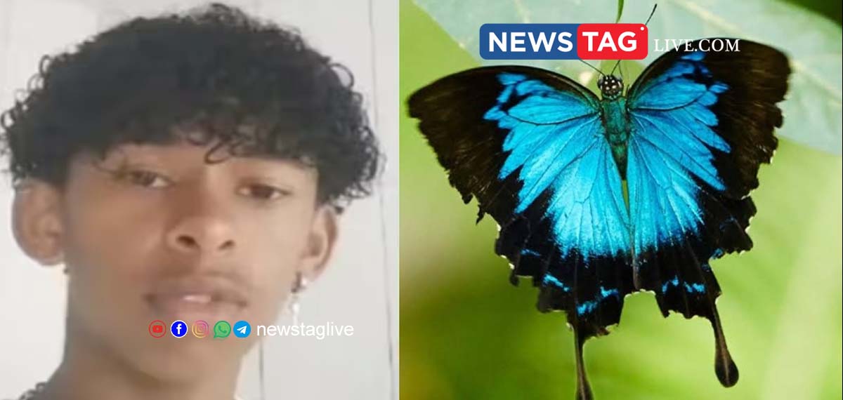 brazilian boy injects butterfly