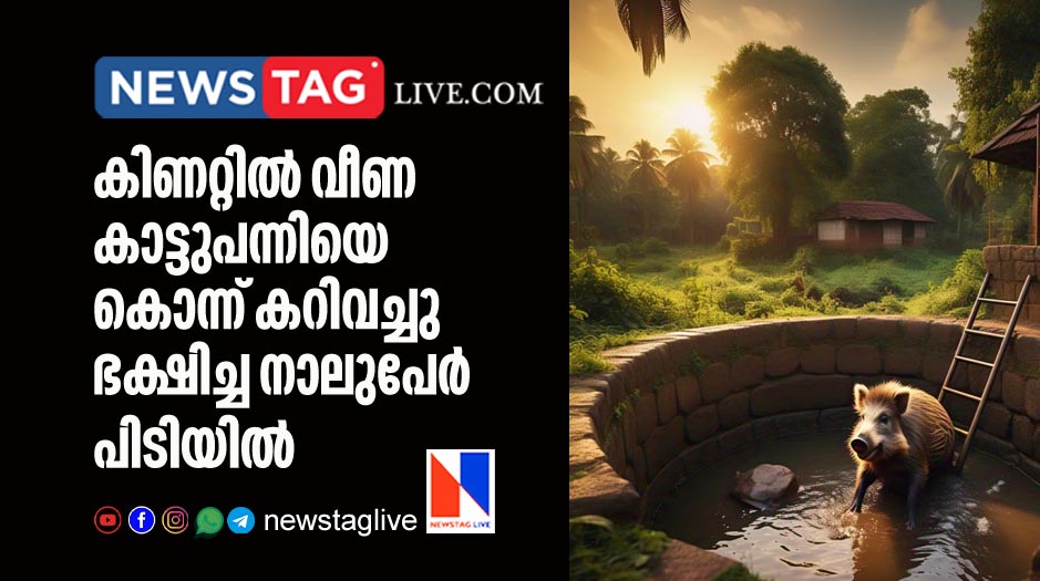 four youths arrested for killing and eat wild boar