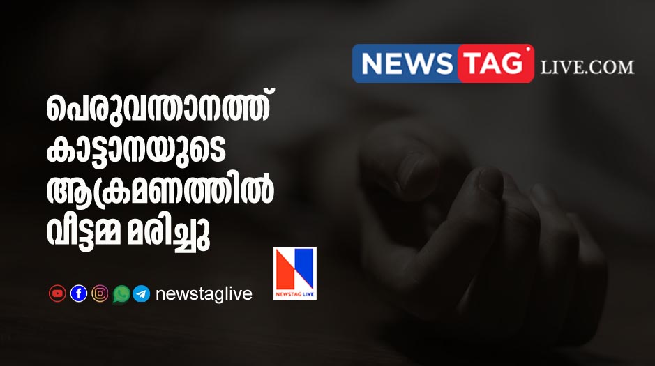 woman killed in wild elephant attack in Peruvanthanam