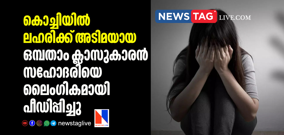 9th standard boy sexually assault sister in Kochi