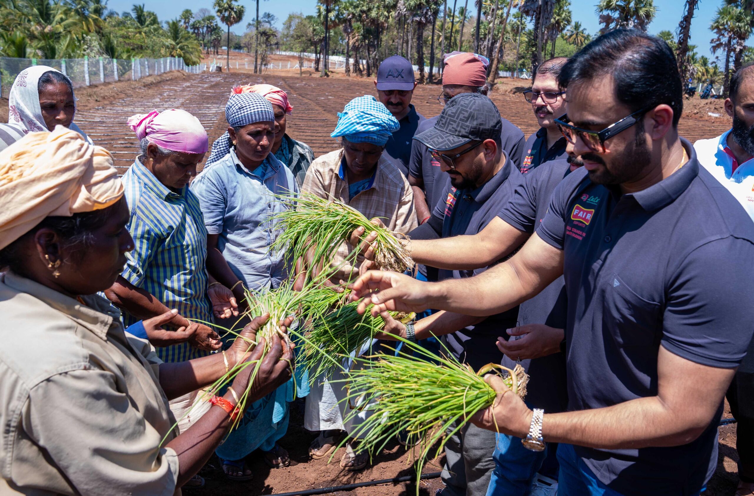 Lulu's agricultural projects in 160 acres in Pollachi