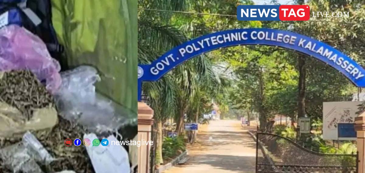 Kalamassery polytechnic cannabis