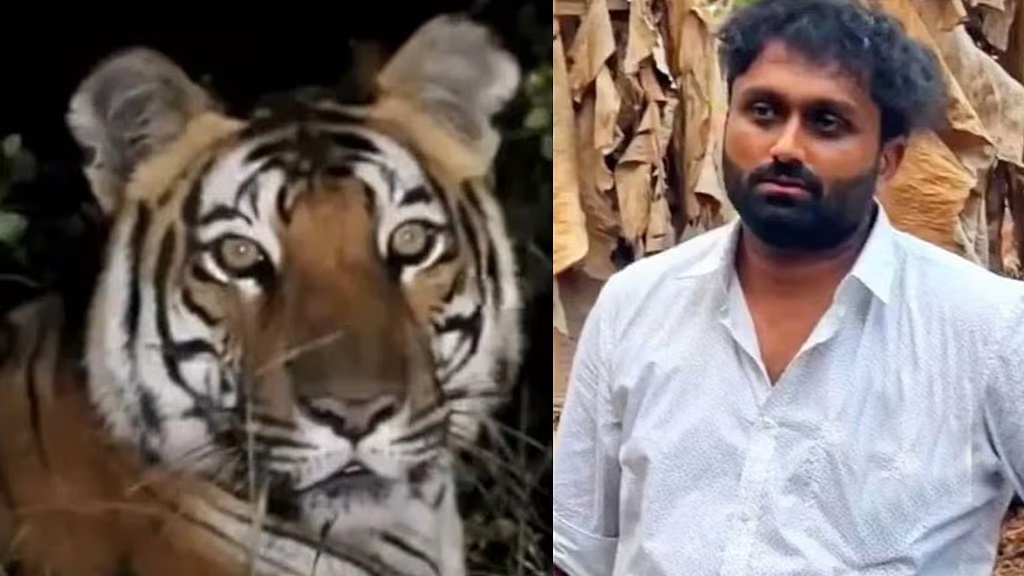 Youth arrested for spreading fake video to create fear of tiger in Malappuram