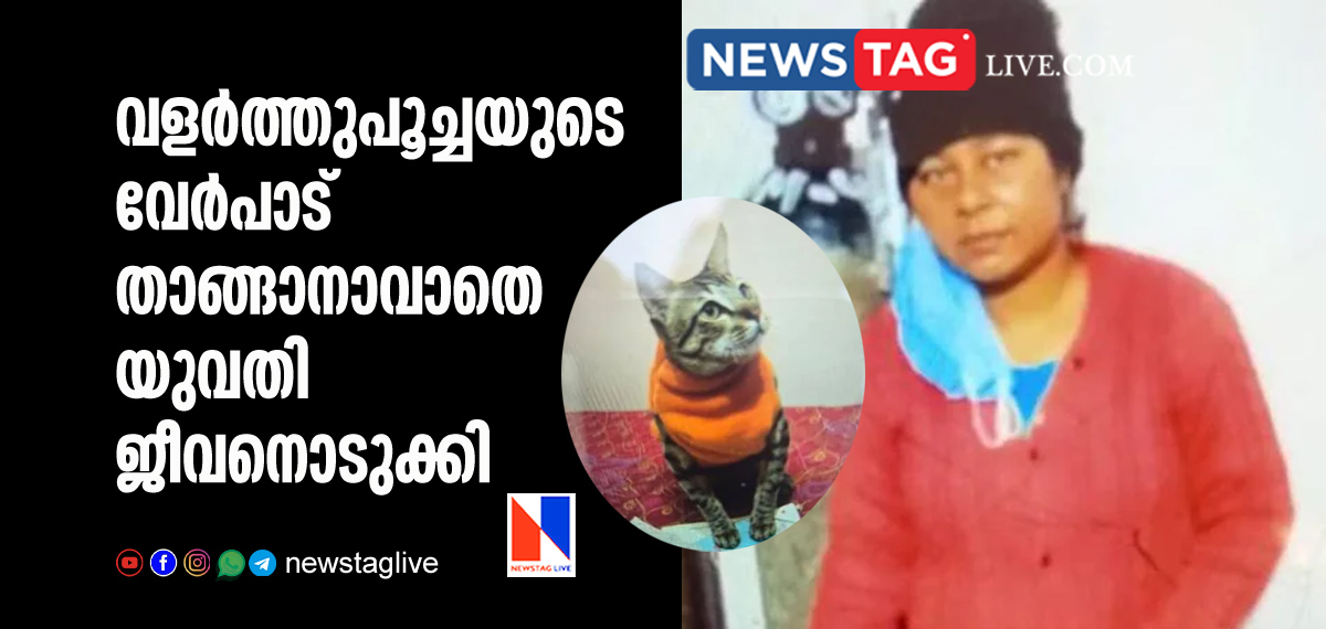 Woman committed suicide over her pet cat's death