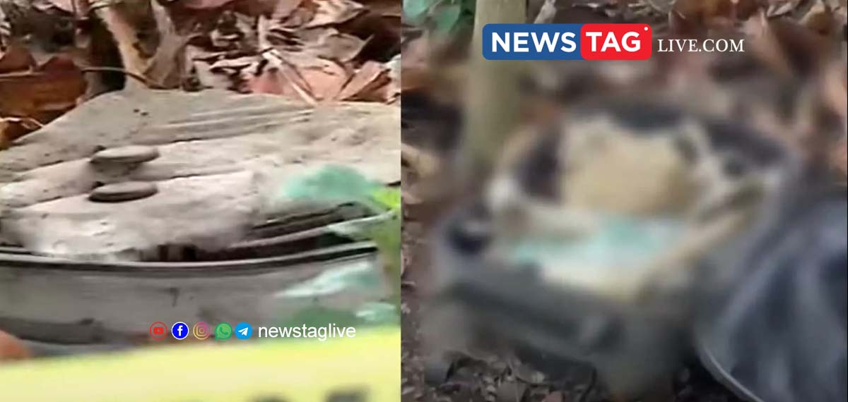 skeleton found in kollam