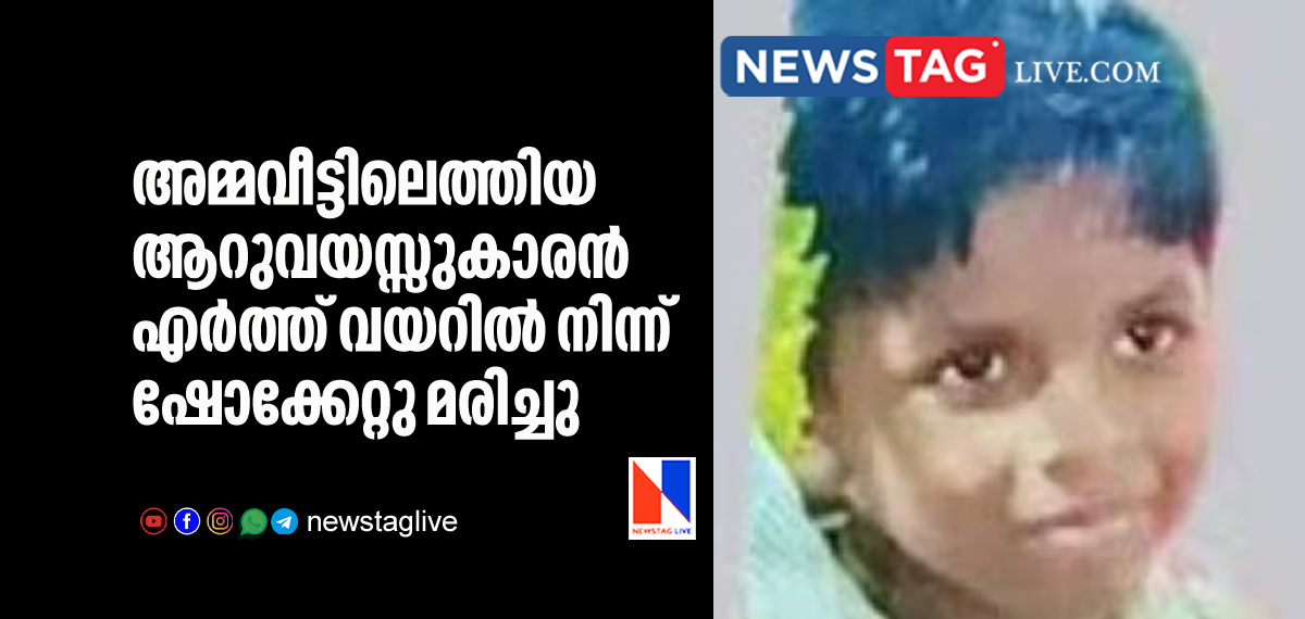 6 year old boy electrocuted while playing