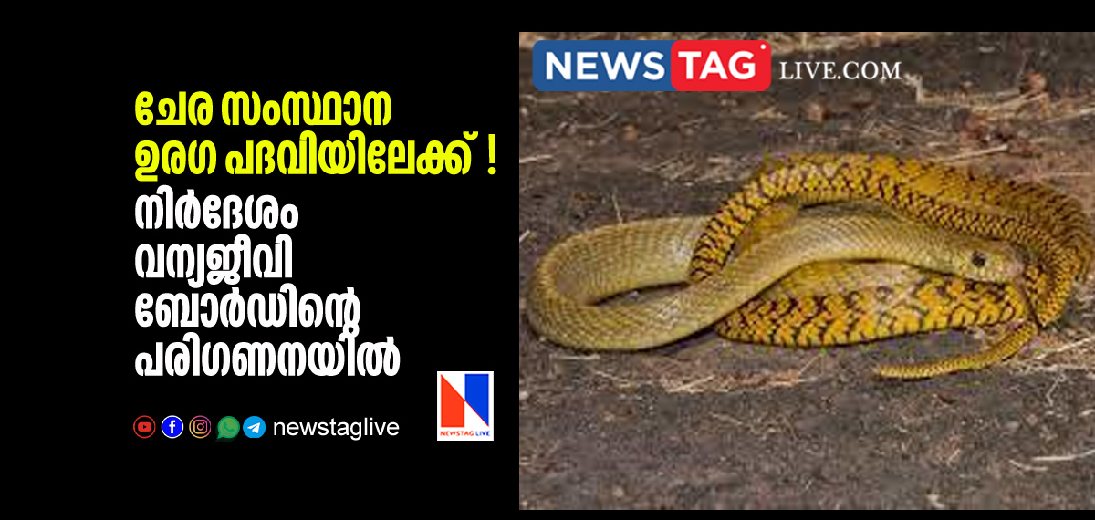 proposal infront of wild life board to declare rat snake as state reptile