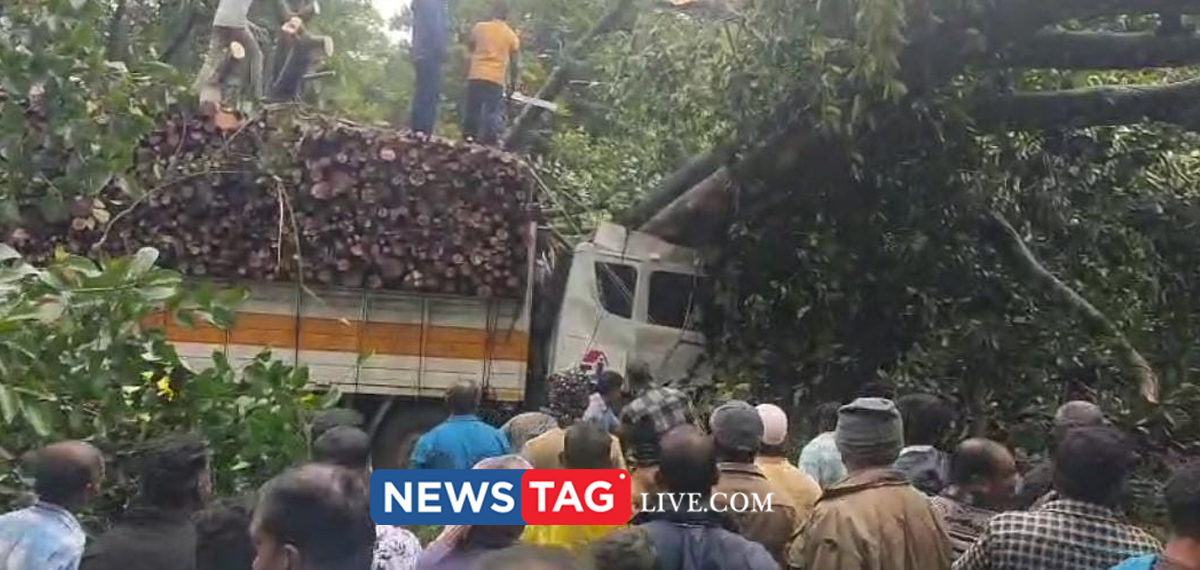19-year-old-man-dies-and-two-injured-after-tree-fallen-on-lorry-in-kumaly