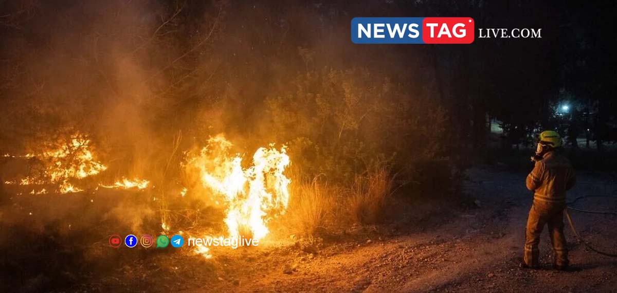 Israel wild fire