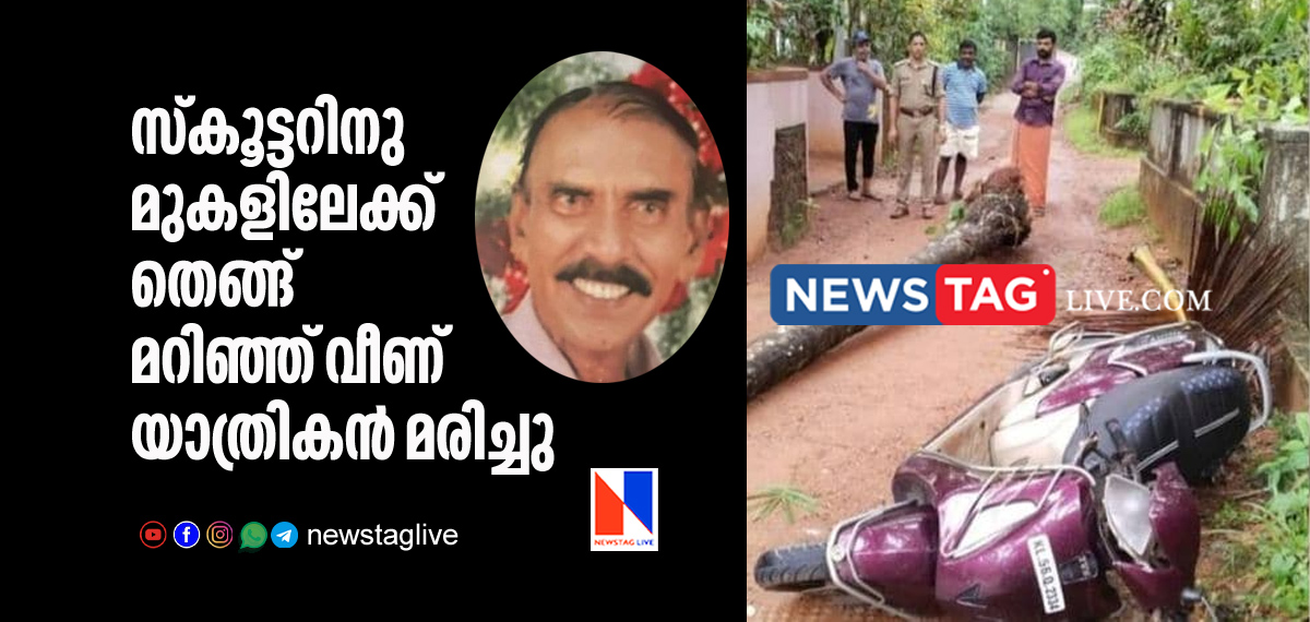 scooter rider dies after coconut tree falls on him