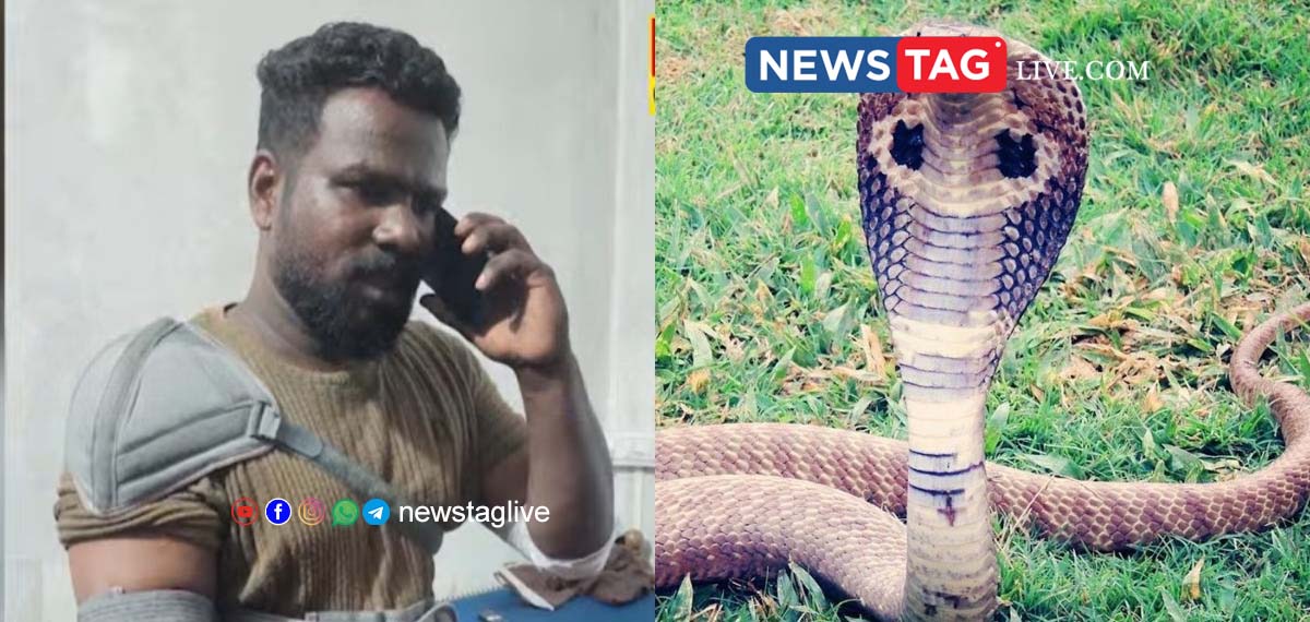 snake in auto