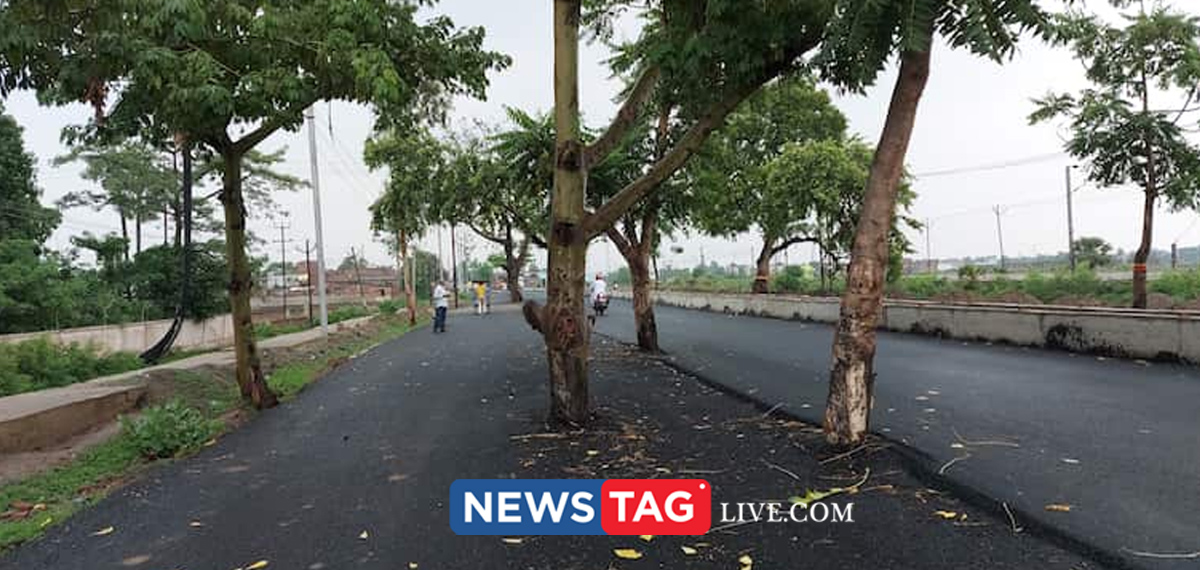 100 crore rupees road build without cuting trees on the middle