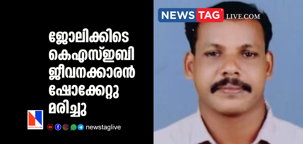 KSEB worker electrocuted to death in Vadakkanchery