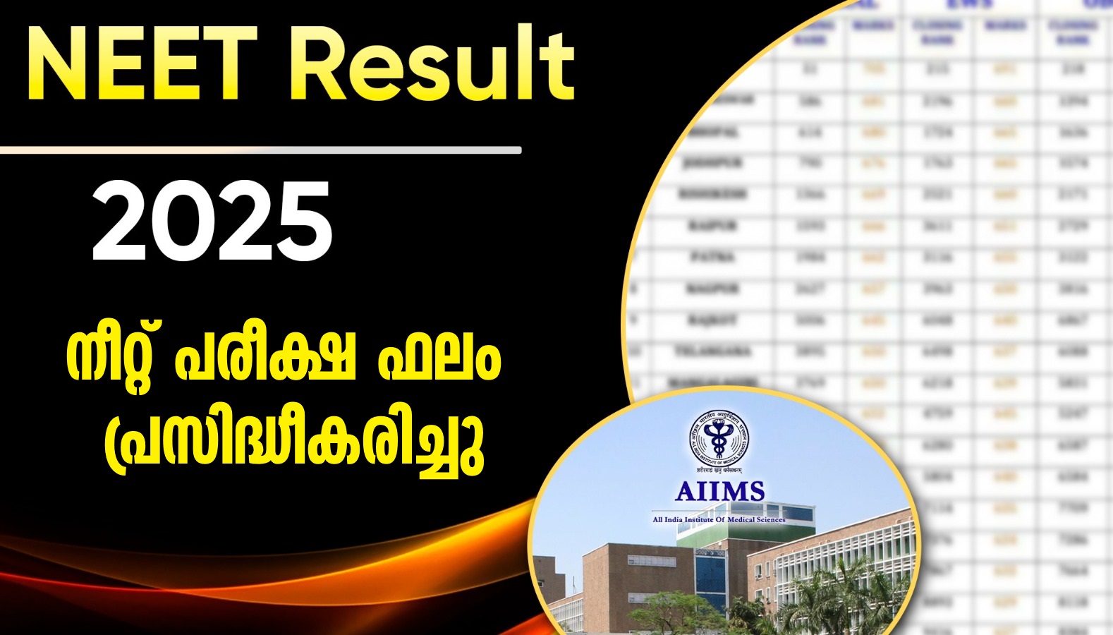 NEET UG 2025 result