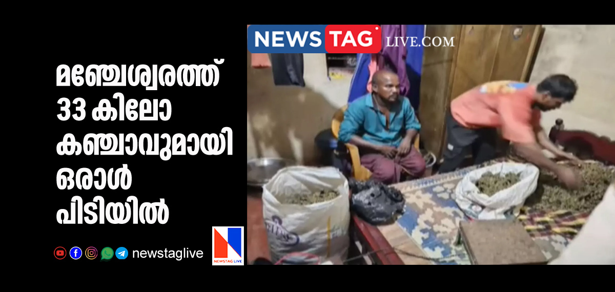 man caught with 33 kg Ganja in Manjeswaram