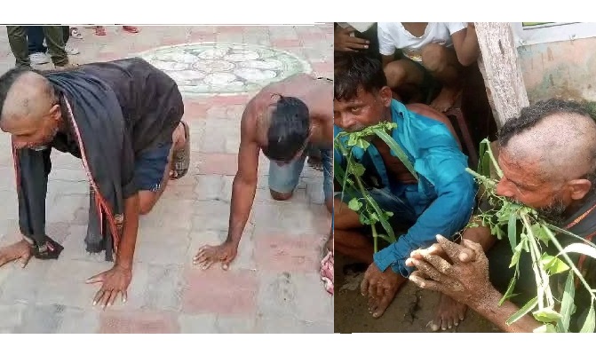 Dalit men tonsured, forced to crawl over cow smuggling allegations in Odisha Rahul seek action