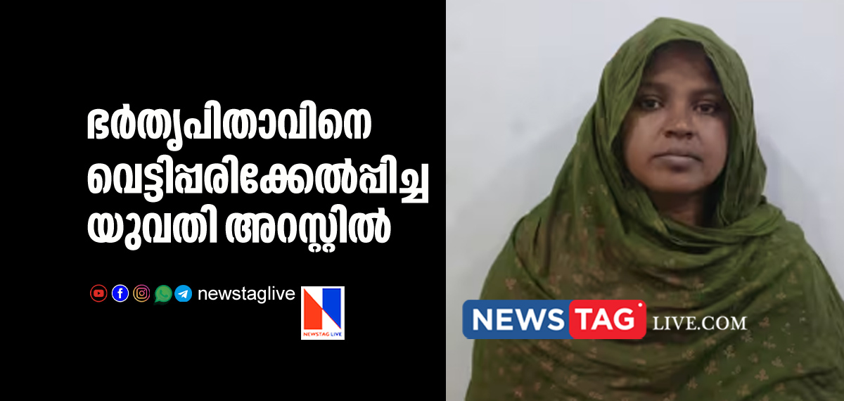 woman arrested for attacking father in law