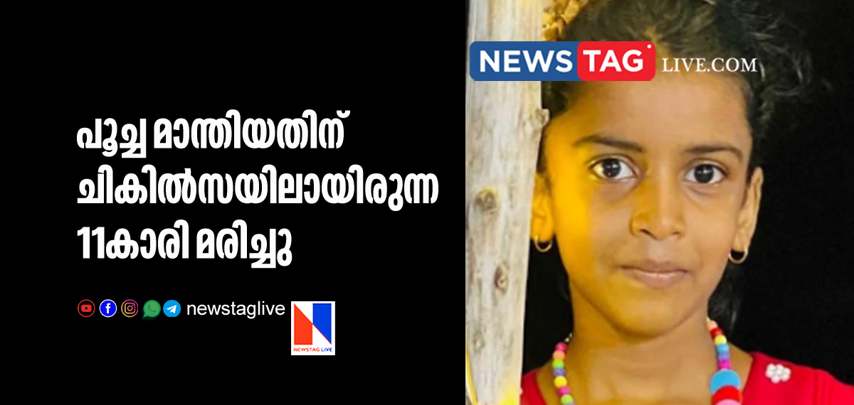 11 year old girl under treatment for cat bites dies