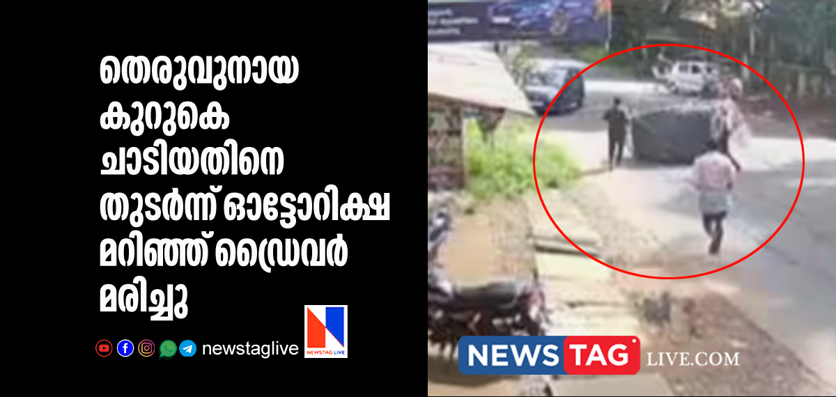 Auto driver dies in accident