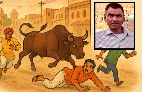 BJP booth president Surendra Sharma lost his life after being attacked by bull
