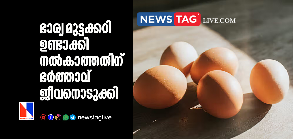 husband ends life after wife refused to cook egg curry