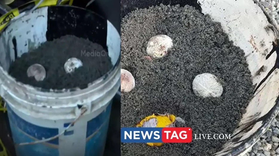 Explosion at RSS-controlled school compound in Palakkad: Deadly explosive device found;