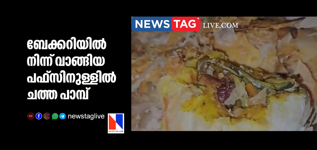 woman finds snake in egg puffs