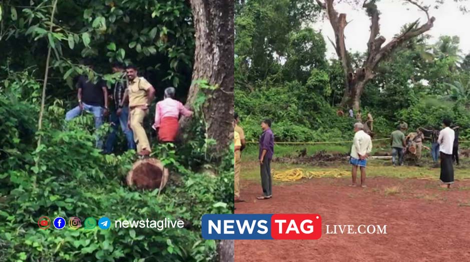 Kottayam skeleton found