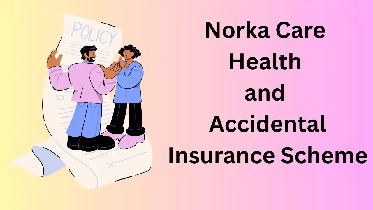 NORKA's insurance for expatriates starts today; you may know the details