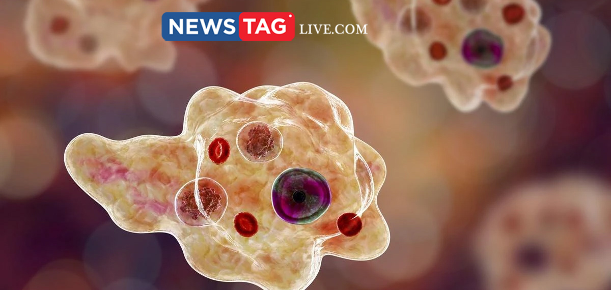 one more amoebic encephalitis death case reported
