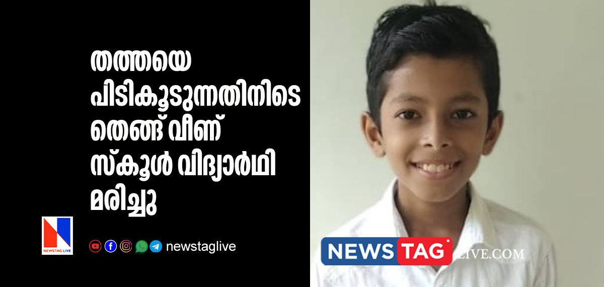 class 7 student dies after coconut tree fell on him