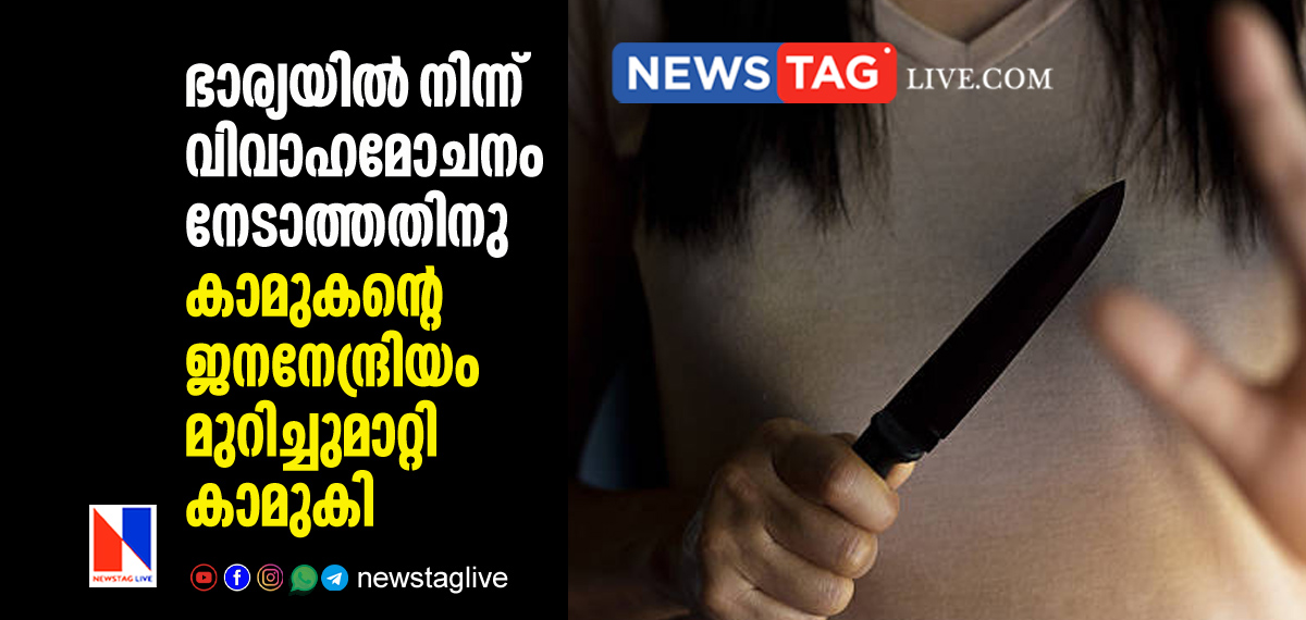 Woman chopped off boy friends genitals