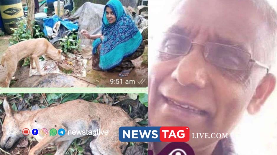 viral dog death