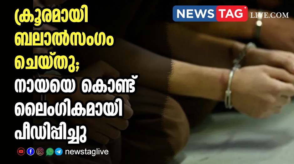 PALESTINE PRISONER ABUSE