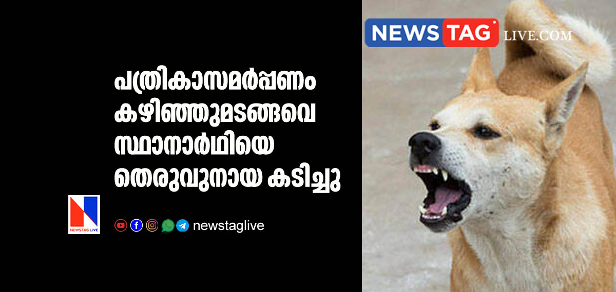 Stray dog bites LDF candidate in Pathanamthitta
