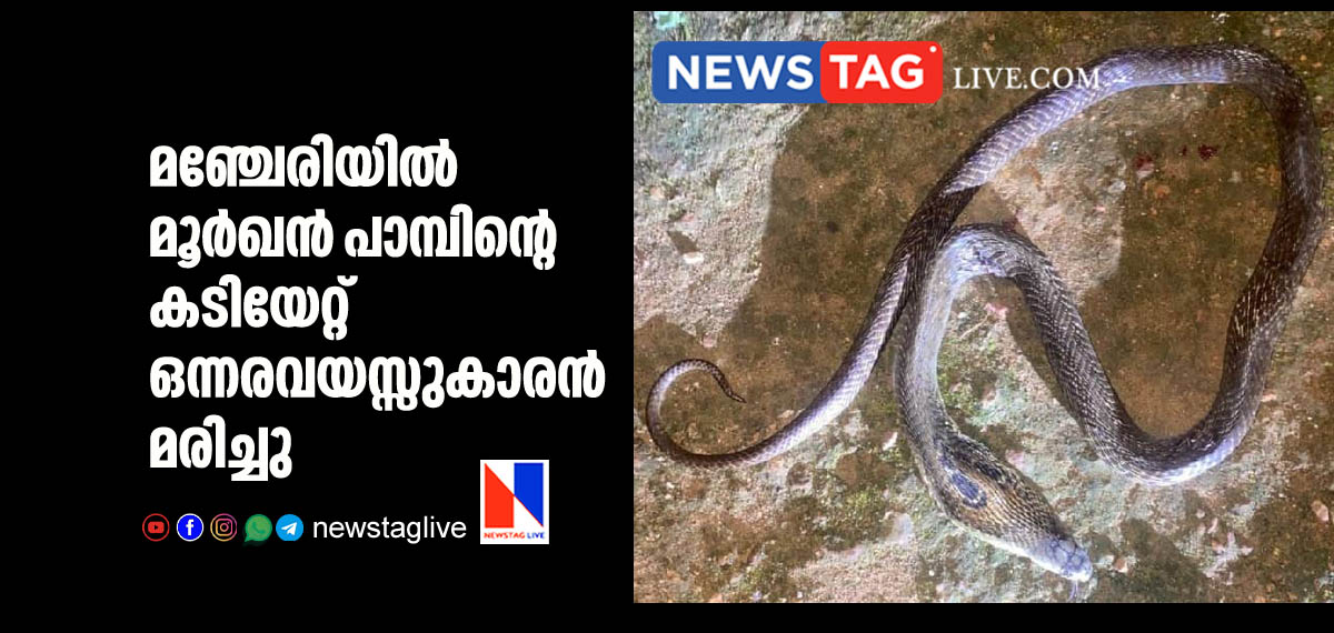 child dies of snake bite in Manjeri