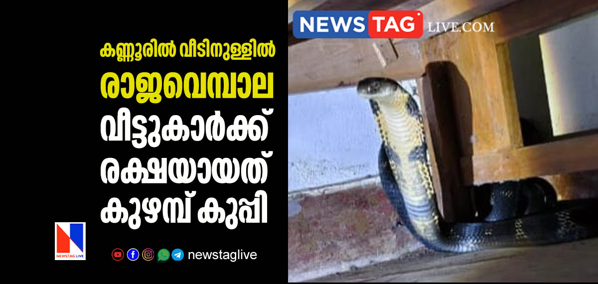 King Cobra entered inside house in Kannur