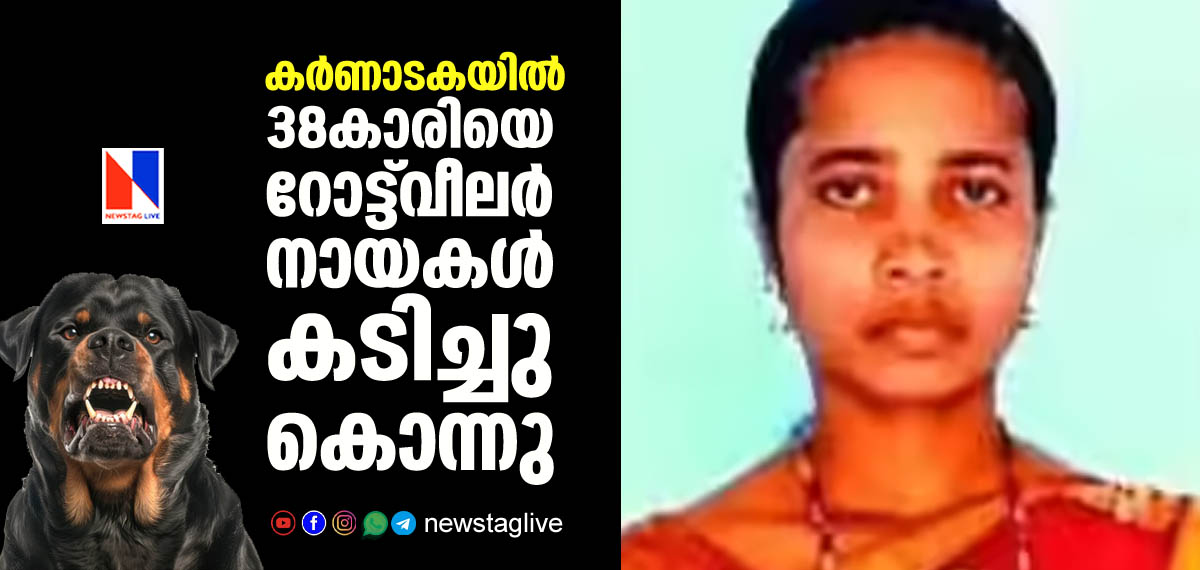 two Rottweiler dogs bitten to death 38 year old woman