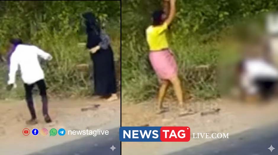 malappuram trirur stray dog attack